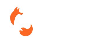 Renard des Surfaces